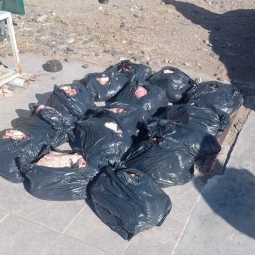 Policía decomisó alrededor de 220 kilos de carne en Puente Dique