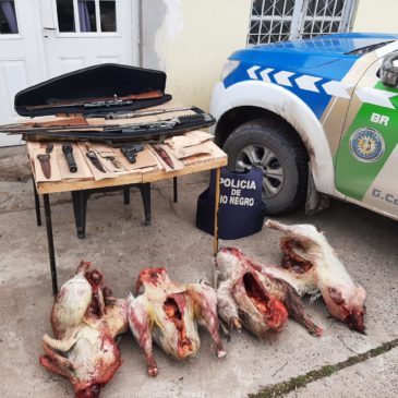 General Conesa: Policía secuestra animales faenados, armas y municiones