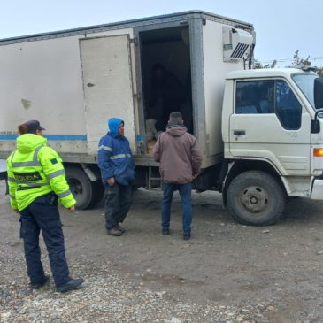 Bariloche: Cuerpo de Seguridad Vial decomisó alimentos transportados irregularmente