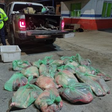 Faena clandestina: decomiso de 120 kilos de carne en Chichinales