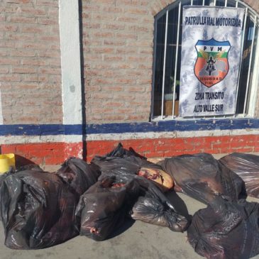 Alto Valle: Policía decomisó carne vacuna y ovina en procedimientos de control