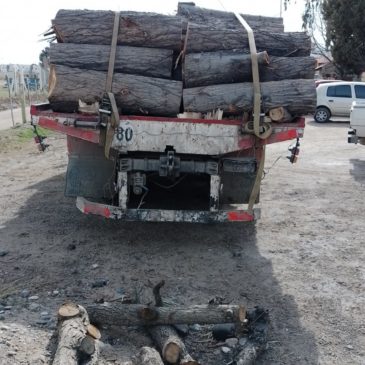 General Roca: Policía incautó más de 6 toneladas de madera que era transportada de manera irregular