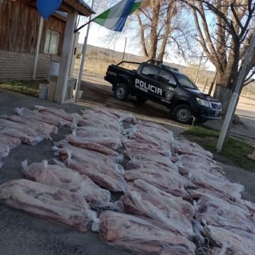 La Policía rionegrina realizó otro importante decomiso de 1000 kilos de carne en Valle Azul