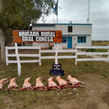 General Conesa: la Policía secuestró siete corderos faenados