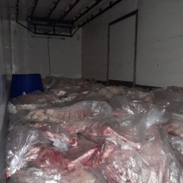 Chichinales: Policía decomisó más de 2000 kilos de carne transportada de manera ilegal