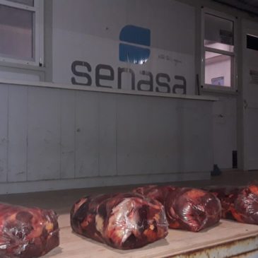 Puente Dique: decomisan más de 170 kilos de carne trasladada de forma irregular