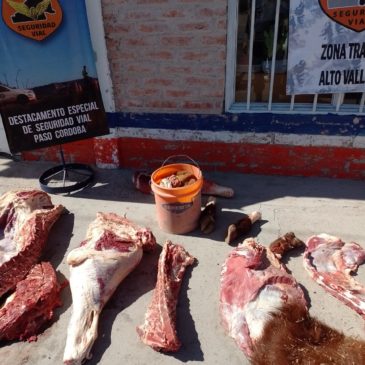 Paso Córdoba: decomisan 300 kilos de carne vacuna faenada