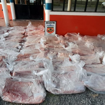 Choele Choel: Policía decomisó 60 costillares de carne vacuna