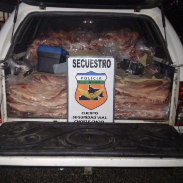 Choele Choel: secuestran cerca de 1000 kilos de carne vacuna en operativo vehicular