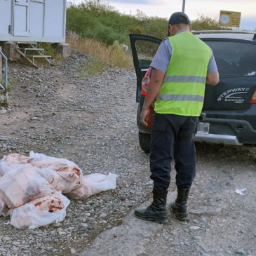 Se decomisaron alrededor de 130 kilos de carne en Puente Dique