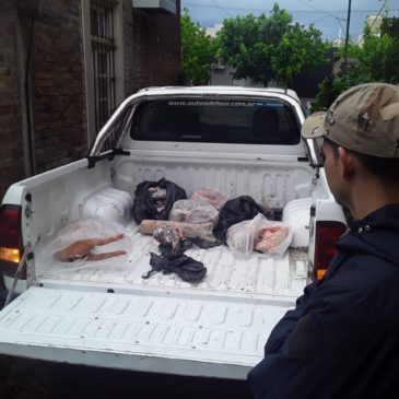 Decomisan carne en mal estado comercializada en Fernández Oro