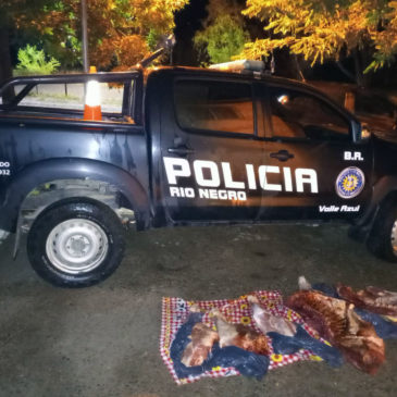Decomiso en Valle Azul: la Brigada Rural secuestró 100 kilos de carne bovina