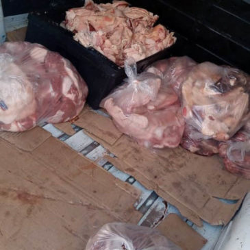 Ingeniero Huergo: Policía decomisó 50 kilos de carne que era transportada de forma irregular