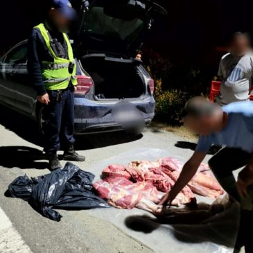 Villa Mascardi: secuestran carne faenada y transportada de forma irregular