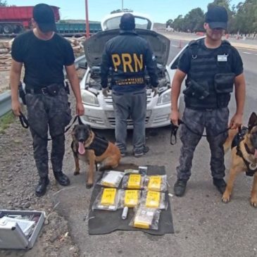 La Policía de Río Negro secuestró más de 7 kg de cocaína en un operativo de control en Chichinales