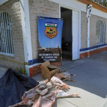 Paso Córdoba: secuestran carne faenada y transportada de forma irregular