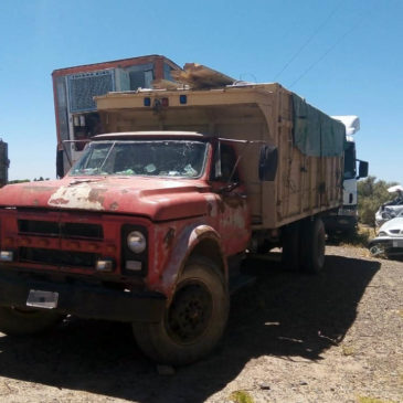 Se decomisaron alrededor de 2000 kilos de leña que era transportada de manera ilegal en Paso Córdoba