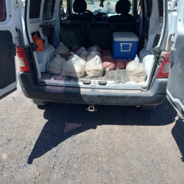 General Roca: Policía decomisó alimentos transportados de manera irregular