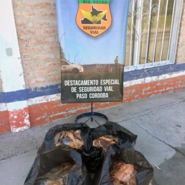 Paso Córdoba: Policía decomisó 50 kilos de carne que era transportada de forma irregular