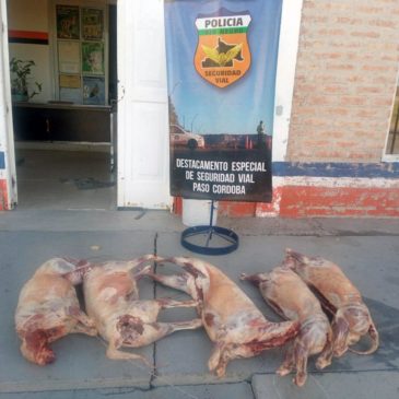 Paso Córdoba: la Policía secuestró corderos faenados que eran transportados de forma irregular
