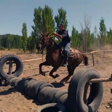 La Policía de Río Negro reacondicionó su predio de entrenamiento para caballos en General Roca