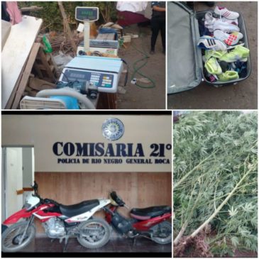 Policía secuestró plantas de marihuana, dos motos y detuvo a tres personas en un allanamiento en Roca