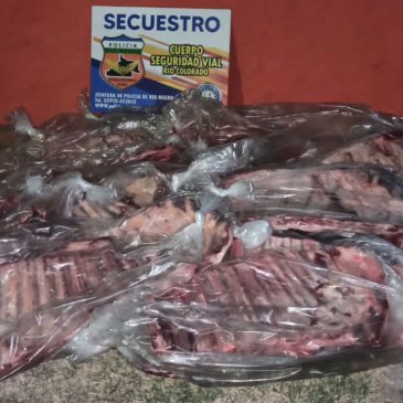 Río Colorado: secuestran más de 300 kilos de carne en un control vehicular