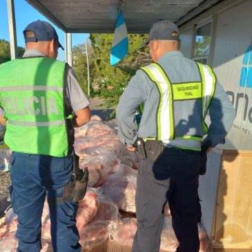 Secuestran 900 kilos de carne vacuna en un operativo realizado en Catriel