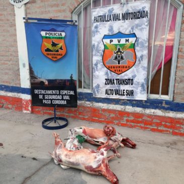 Decomisan ovinos faenados durante un control vehicular en Paso Córdoba