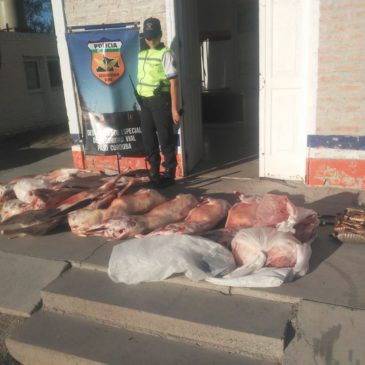 Paso Córdoba: Policía decomisó animales faenados