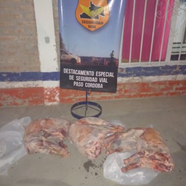 Decomisan ovinos faenados durante un control vehicular en Paso Córdoba