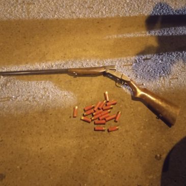 Paso Córdoba: la Policía de Río Negro secuestró un arma de fuego en un control vehicular