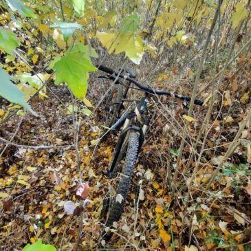 Dina Huapi: Policía recuperó una bicicleta que fue sustraída a fin del año pasado