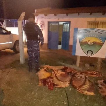 General Roca: Policía secuestró 100 kilos de carne bovina