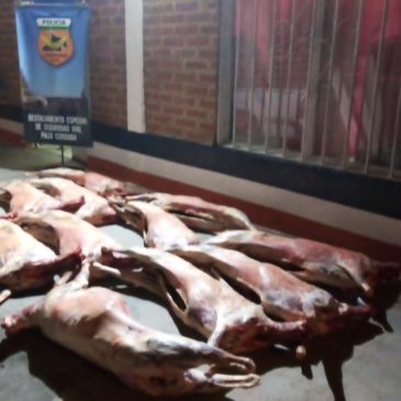 Policía decomisó más de 200 kilos de carne en Paso Córdoba
