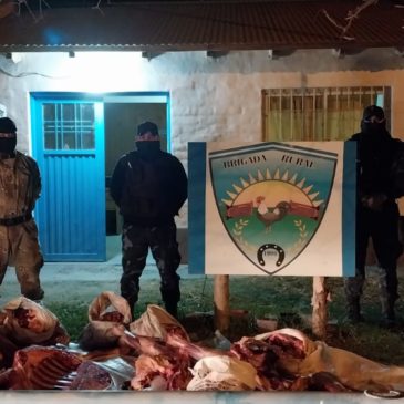 Policía secuestró más de 700 kilos de carne y un arma de fuego