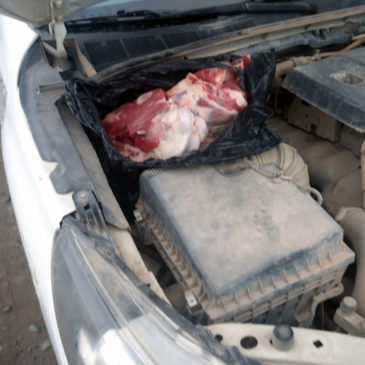 Casa de Piedra: Policía secuestró carne que era transportada de manera ilegal