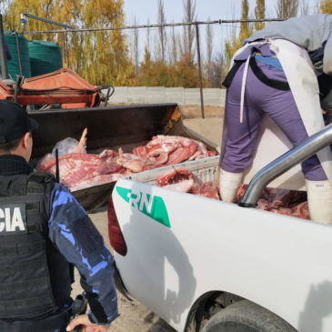 Decomisan más de 1800 kilos de carne en mal estado comercializada en General Roca