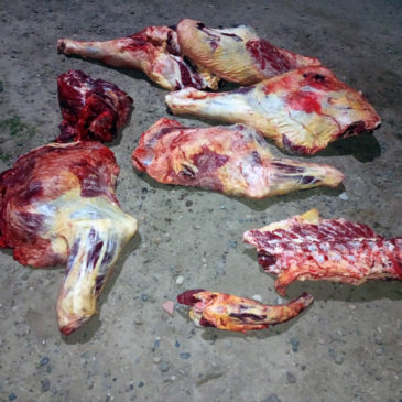 Choele Choel: Policía secuestró carne que era transportada de forma irregular