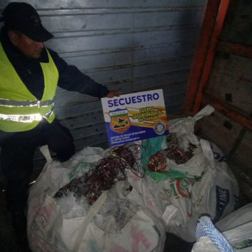 Río Colorado: Policía secuestró más de 700 kilos de cobre
