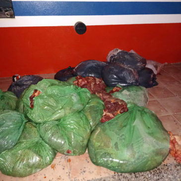 Se decomisaron alrededor de 1200 kilos de carne en Choele Choel
