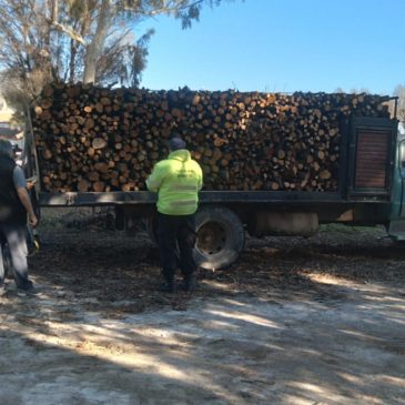 Decomisan 4 toneladas de leña en General Roca