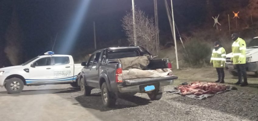 Bariloche: Seguridad Vial decomisó un ternero faenado y transportado ilegalmente