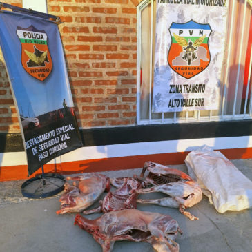 Paso Córdoba: Policía secuestró carne que era transportada de forma irregular
