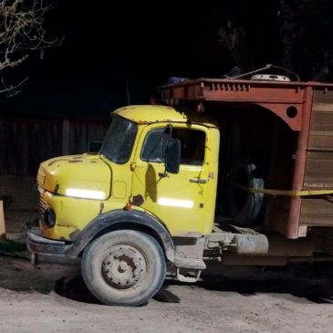 Retienen un camión que transportaba animales sin documentación en Valle Azul