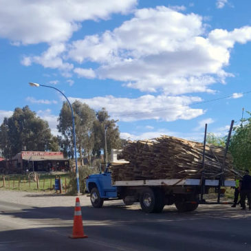 Paso Córdoba: Policía incautó cerca de 2.5 toneladas de madera transportada de manera irregular