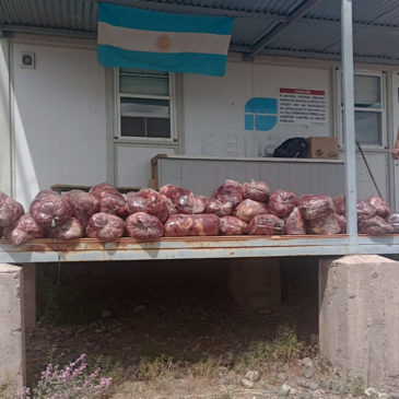 Puente Dique: secuestran 450 kilos de carne que era transportada de manera ilegal