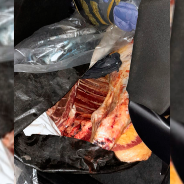 Puente Dique: Policía secuestró carne que era transportada de forma irregular