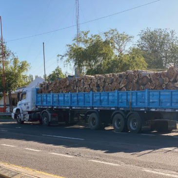 Chichinales: Policía incautó cerca de 40 toneladas de madera transportada de manera irregular