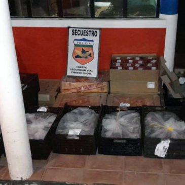Choele Choel: Policía decomisó cerca de 400 kilos de productos alimenticios transportados de manera irregular